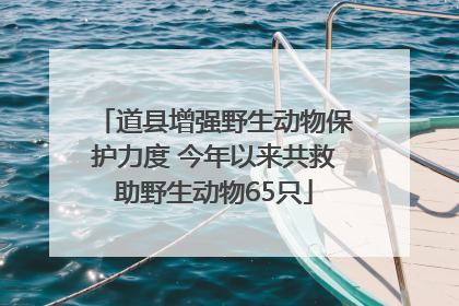 道县增强野生动物保护力度 今年以来共救助野生动物65只