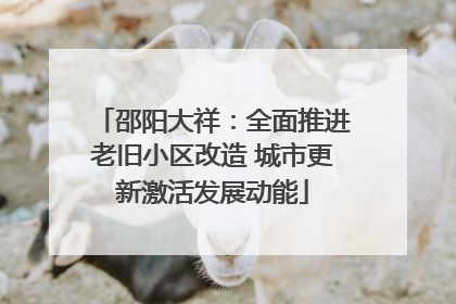 邵阳大祥：全面推进老旧小区改造 城市更新激活发展动能