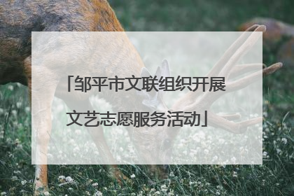 邹平市文联组织开展文艺志愿服务活动