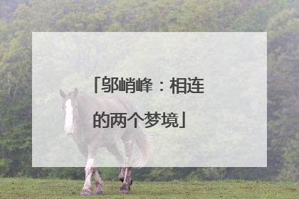 邬峭峰：相连的两个梦境