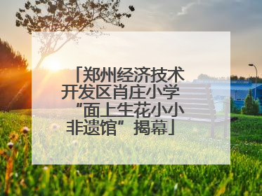 郑州经济技术开发区肖庄小学“面上生花小小非遗馆”揭幕