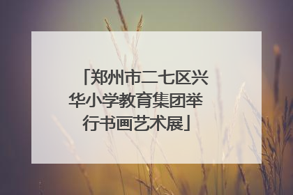 郑州市二七区兴华小学教育集团举行书画艺术展