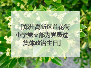 郑州高新区莲花街小学党支部为党员过集体政治生日