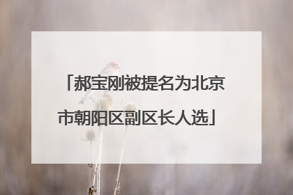 郝宝刚被提名为北京市朝阳区副区长人选