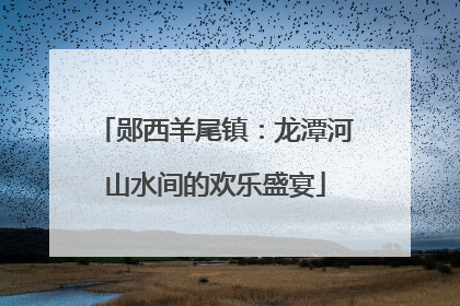 郧西羊尾镇：龙潭河山水间的欢乐盛宴