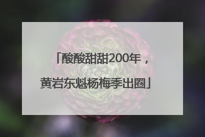 酸酸甜甜200年，黄岩东魁杨梅季出圈