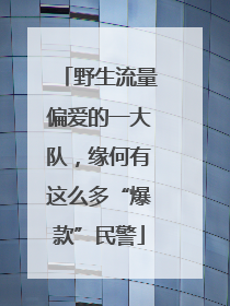 野生流量偏爱的一大队，缘何有这么多“爆款”民警