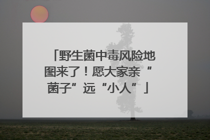 野生菌中毒风险地图来了！愿大家亲“菌子”远“小人”