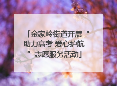 金家岭街道开展“助力高考 爱心护航”志愿服务活动