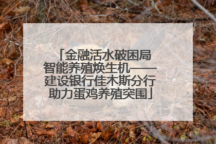 金融活水破困局 智能养殖焕生机——建设银行佳木斯分行助力蛋鸡养殖突围