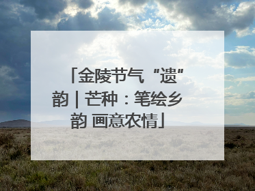 金陵节气“遗”韵｜芒种：笔绘乡韵 画意农情