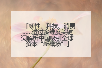 韧性、科技、消费……透过多维度关键词解析中国吸引全球资本“新磁场”