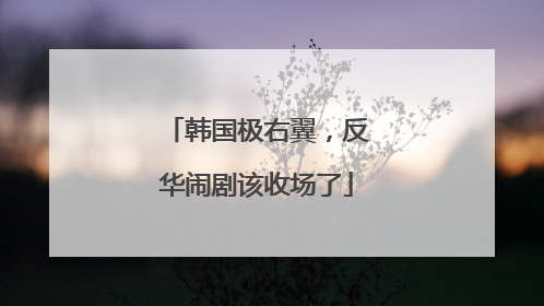 韩国极右翼，反华闹剧该收场了