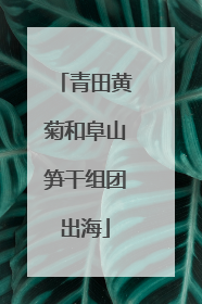 青田黄菊和阜山笋干组团出海