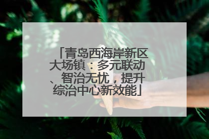 青岛西海岸新区大场镇：多元联动、智治无忧，提升综治中心新效能