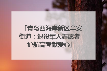 青岛西海岸新区辛安街道：退役军人志愿者护航高考献爱心