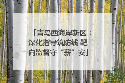 青岛西海岸新区：深化指导筑防线 靶向监督守“薪”安