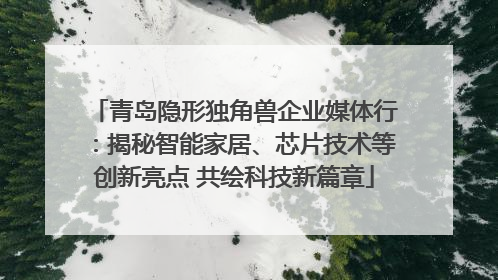 青岛隐形独角兽企业媒体行：揭秘智能家居、芯片技术等创新亮点 共绘科技新篇章