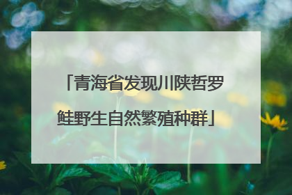 青海省发现川陕哲罗鲑野生自然繁殖种群