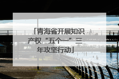 青海省开展知识产权“五个一”三年攻坚行动