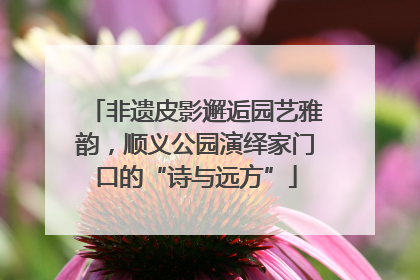 非遗皮影邂逅园艺雅韵，顺义公园演绎家门口的“诗与远方”