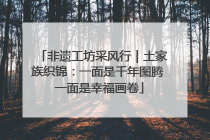 非遗工坊采风行｜土家族织锦：一面是千年图腾 一面是幸福画卷