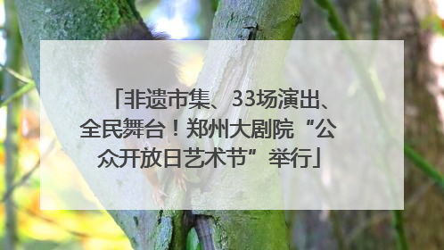 非遗市集、33场演出、全民舞台！郑州大剧院“公众开放日艺术节”举行