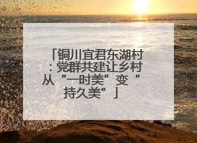 铜川宜君东湖村：党群共建让乡村从“一时美”变“持久美”