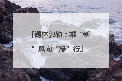 锡林郭勒：乘“新”风向“绿”行