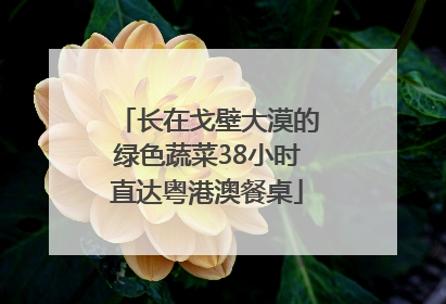 长在戈壁大漠的绿色蔬菜38小时直达粤港澳餐桌