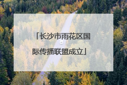 长沙市雨花区国际传播联盟成立