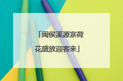 闽侯溪源寨荷花盛放迎客来