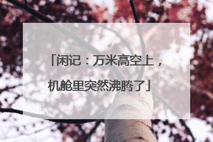 闲记：万米高空上，机舱里突然沸腾了
