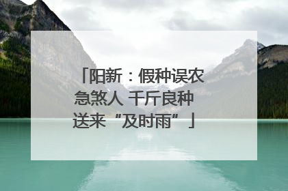 阳新：假种误农急煞人 千斤良种送来“及时雨”