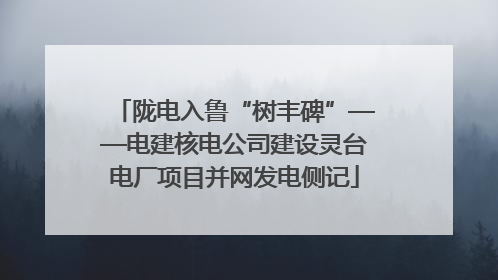 陇电入鲁“树丰碑”——电建核电公司建设灵台电厂项目并网发电侧记