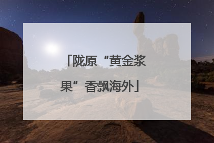 陇原“黄金浆果”香飘海外