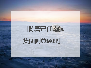 陈詟已任南航集团副总经理