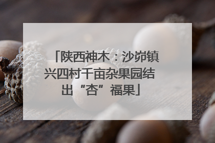 陕西神木：沙峁镇兴四村千亩杂果园结出“杏”福果