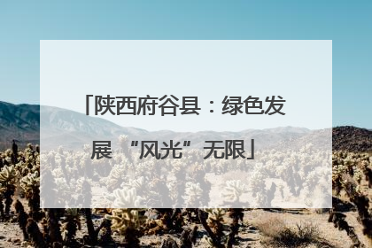 陕西府谷县：绿色发展 “风光”无限