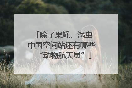 除了果蝇、涡虫 中国空间站还有哪些“动物航天员”