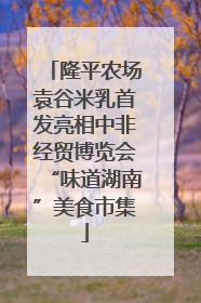 隆平农场袁谷米乳首发亮相中非经贸博览会“味道湖南”美食市集