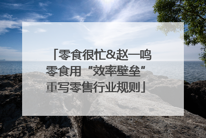 零食很忙&赵一鸣零食用“效率壁垒”重写零售行业规则