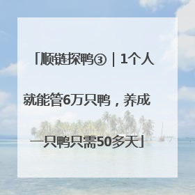 顺链探鸭③｜1个人就能管6万只鸭，养成一只鸭只需50多天