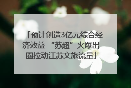 预计创造3亿元综合经济效益 “苏超”火爆出圈拉动江苏文旅流量