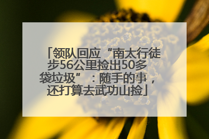 领队回应“南太行徒步56公里捡出50多袋垃圾”：随手的事，还打算去武功山捡