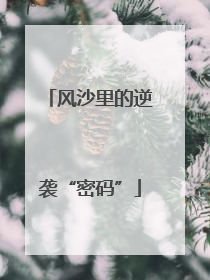 风沙里的逆袭“密码”