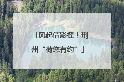 风起倩影摇！荆州“荷您有约”