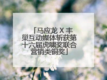 马应龙 X 丰巢互动媒体斩获第十六届虎啸奖联合营销类铜奖