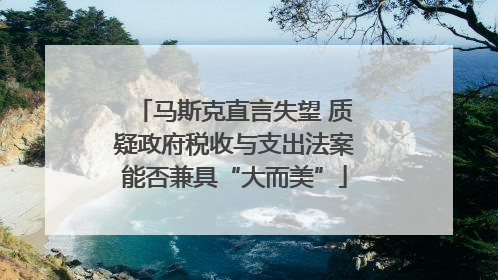 马斯克直言失望 质疑政府税收与支出法案能否兼具“大而美”