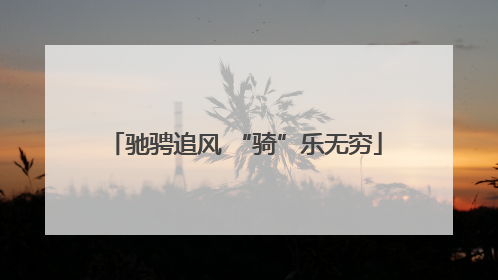驰骋追风 “骑”乐无穷